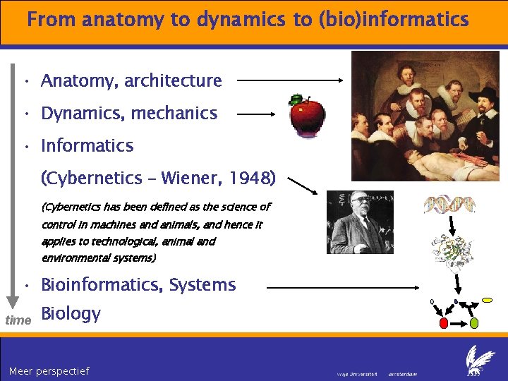 From anatomy to dynamics to (bio)informatics • Anatomy, architecture • Dynamics, mechanics • Informatics