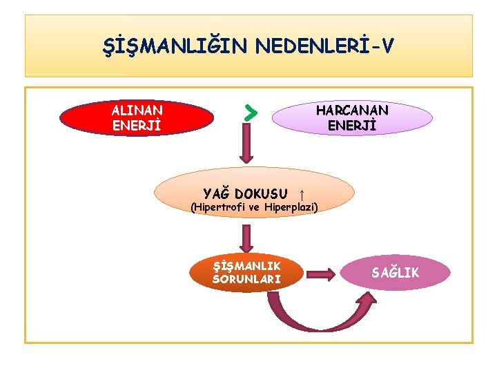ŞİŞMANLIĞIN NEDENLERİ-V ALINAN ENERJİ > HARCANAN ENERJİ YAĞ DOKUSU ↑ (Hipertrofi ve Hiperplazi) ŞİŞMANLIK