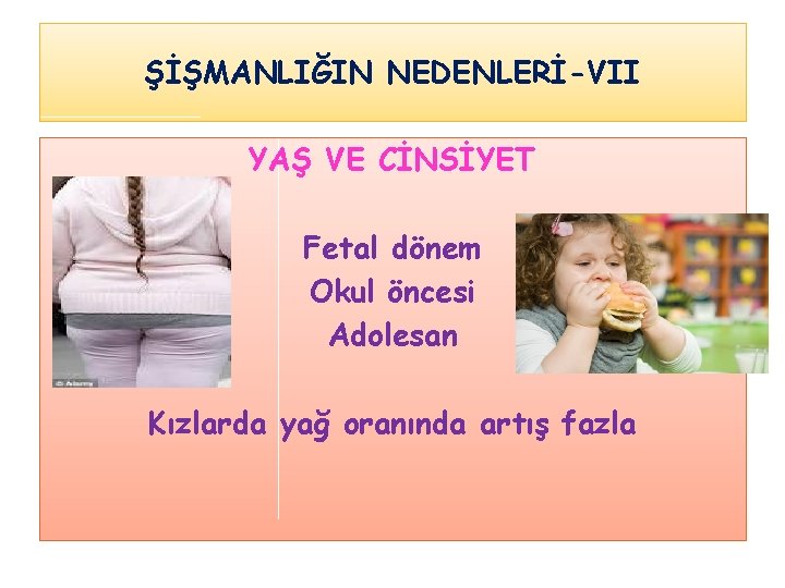 ŞİŞMANLIĞIN NEDENLERİ-VII YAŞ VE CİNSİYET Fetal dönem Okul öncesi Adolesan Kızlarda yağ oranında artış