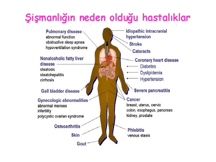 Şişmanlığın neden olduğu hastalıklar 