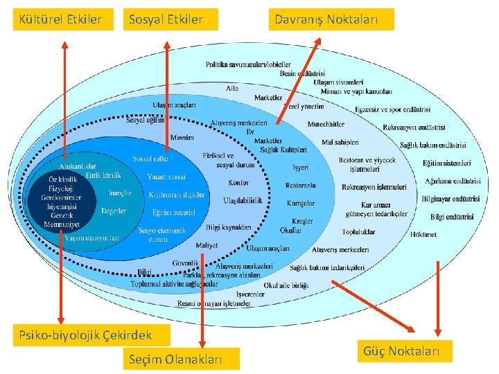 Kültürel Etkiler Sosyal Etkiler Psiko-biyolojik Çekirdek Seçim Olanakları Davranış Noktaları Güç Noktaları 