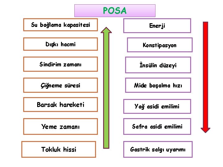 POSA Su bağlama kapasitesi Dışkı hacmi Enerji Konstipasyon Sindirim zamanı İnsülin düzeyi Çiğneme süresi