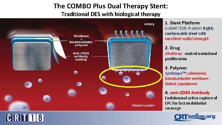 The COMBO Plus Dual Therapy Stent: Traditional DES with biological therapy 1. Stent Platform