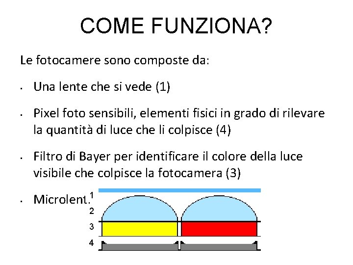 COME FUNZIONA? Le fotocamere sono composte da: • • Una lente che si vede