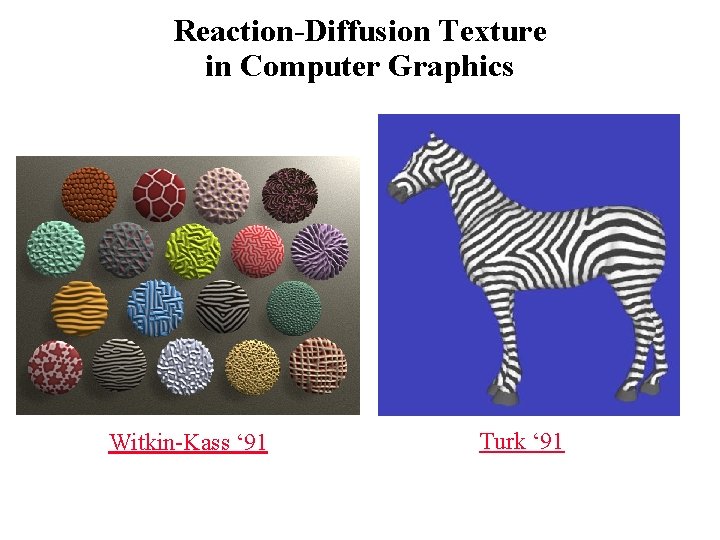 Reaction-Diffusion Texture in Computer Graphics Witkin-Kass ‘ 91 Turk ‘ 91 