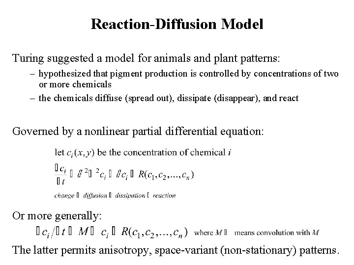 Reaction-Diffusion Model Turing suggested a model for animals and plant patterns: – hypothesized that