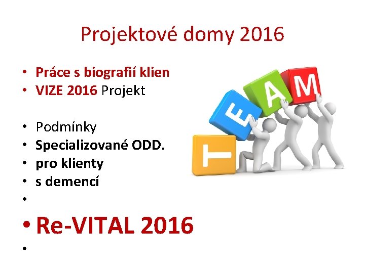 Projektové domy 2016 • Práce s biografií klienta • VIZE 2016 Projekt • •