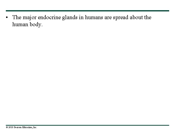  • The major endocrine glands in humans are spread about the human body.