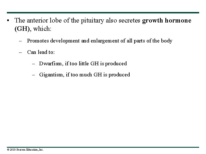  • The anterior lobe of the pituitary also secretes growth hormone (GH), which: