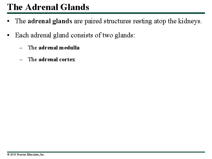 The Adrenal Glands • The adrenal glands are paired structures resting atop the kidneys.