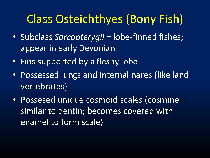 Class Osteichthyes (Bony Fish) • Subclass Sarcopterygii = lobe-finned fishes; appear in early Devonian