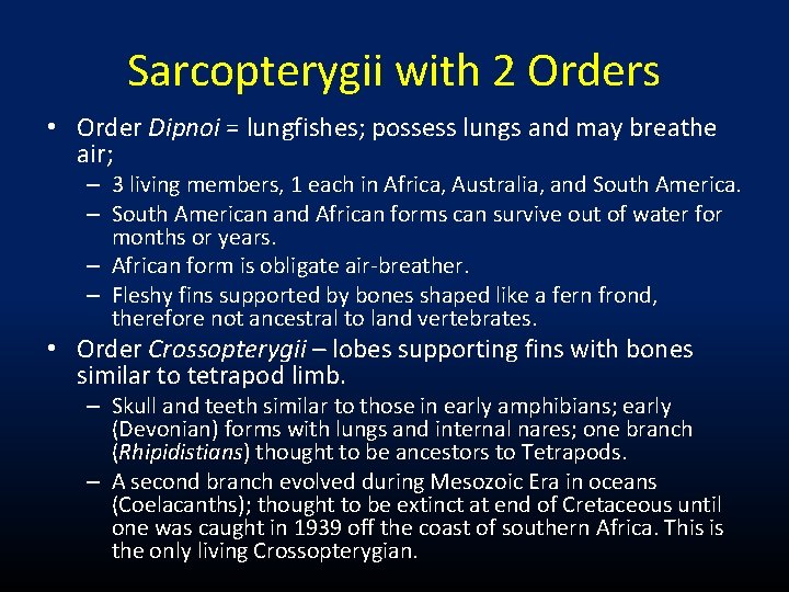 Sarcopterygii with 2 Orders • Order Dipnoi = lungfishes; possess lungs and may breathe