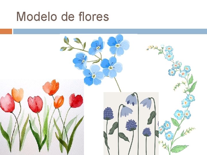Modelo de flores 