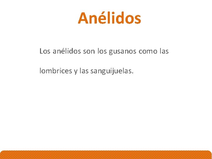 Anélidos Los anélidos son los gusanos como las lombrices y las sanguijuelas. 