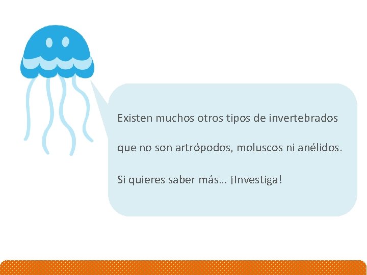 Existen muchos otros tipos de invertebrados que no son artrópodos, moluscos ni anélidos. Si