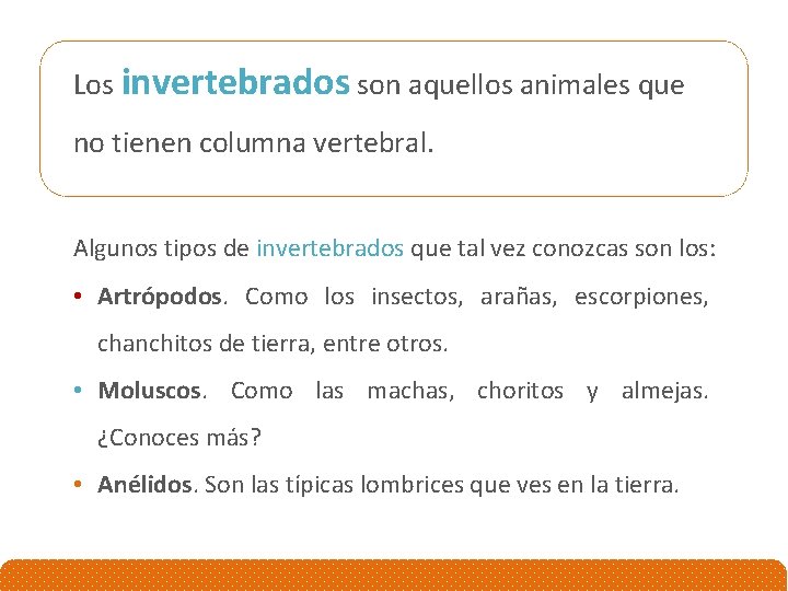 Los invertebrados son aquellos animales que no tienen columna vertebral. Algunos tipos de invertebrados