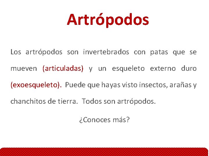 Artrópodos Los artrópodos son invertebrados con patas que se mueven (articuladas) y un esqueleto
