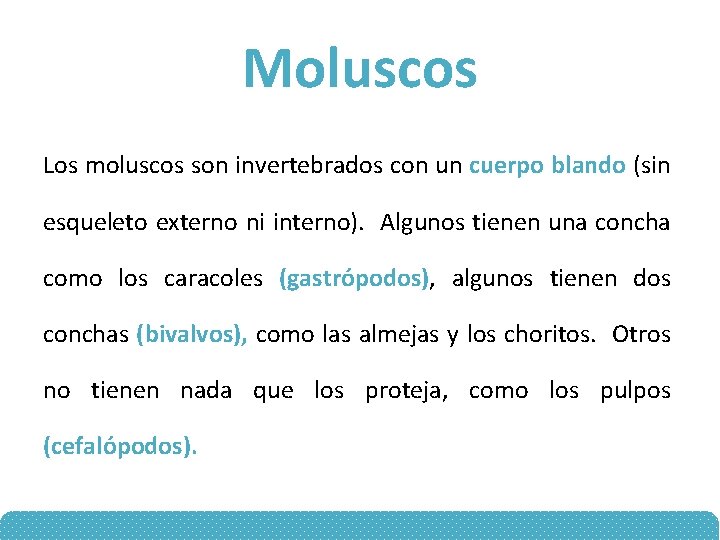 Moluscos Los moluscos son invertebrados con un cuerpo blando (sin esqueleto externo ni interno).