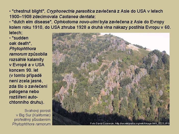  • "chestnut blight", Cryphonectria parasitica zavlečená z Asie do USA v letech 1900–