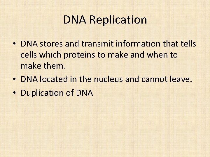 DNA Replication • DNA stores and transmit information that tells cells which proteins to