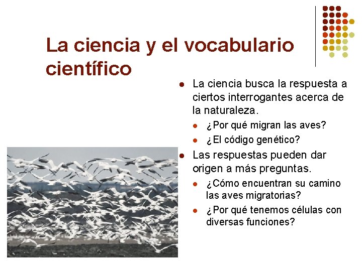 La ciencia y el vocabulario científico l La ciencia busca la respuesta a ciertos