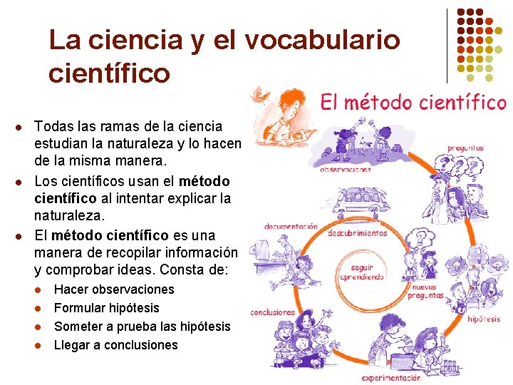 La ciencia y el vocabulario científico l l l Todas las ramas de la