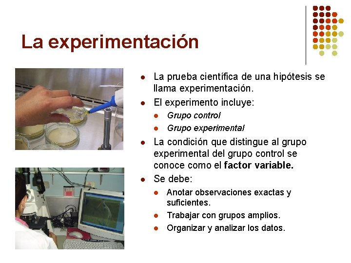 La experimentación l l La prueba científica de una hipótesis se llama experimentación. El