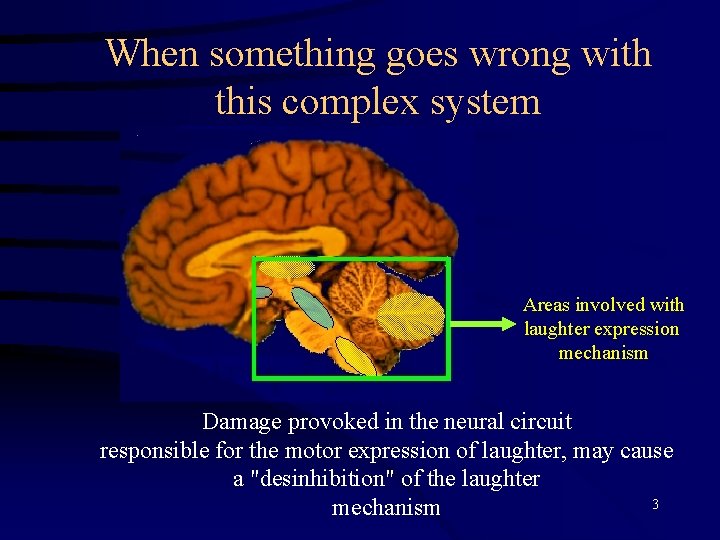 When something goes wrong with this complex system Areas involved with laughter expression mechanism