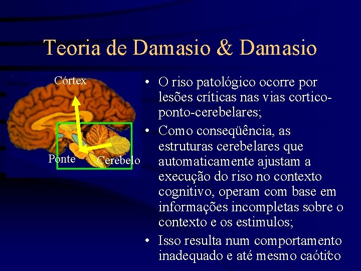 Teoria de Damasio & Damasio Córtex Ponte • O riso patológico ocorre por lesões