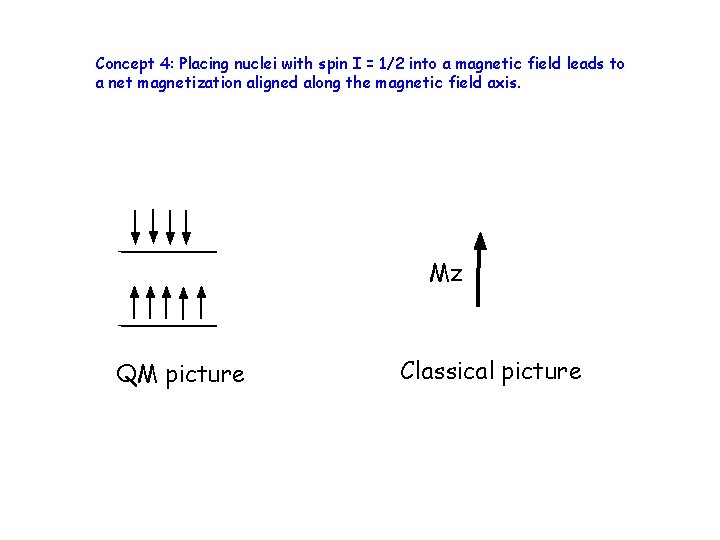 Concept 4: Placing nuclei with spin I = 1/2 into a magnetic field leads