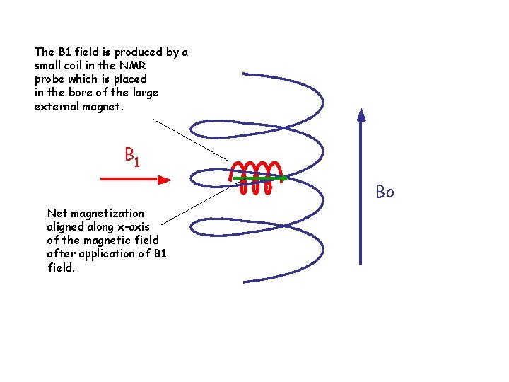 The B 1 field is produced by a small coil in the NMR probe
