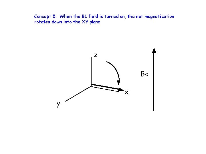 Concept 5: When the B 1 field is turned on, the net magnetization rotates
