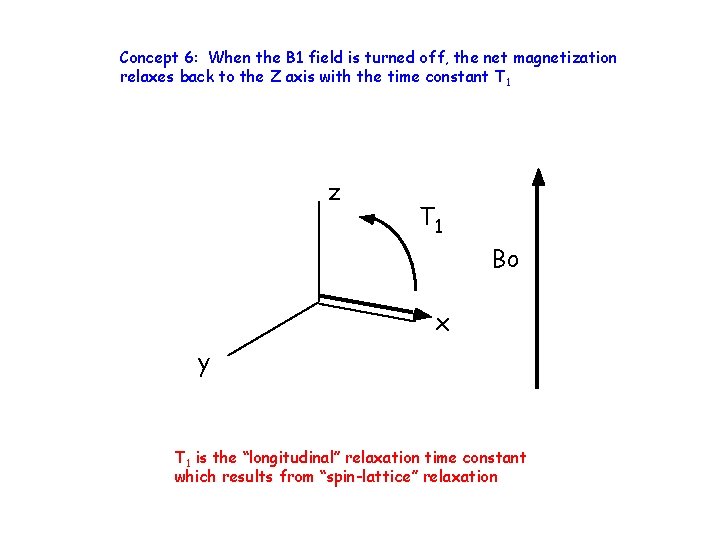 Concept 6: When the B 1 field is turned off, the net magnetization relaxes