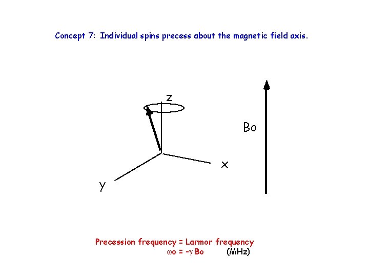 Concept 7: Individual spins precess about the magnetic field axis. z Bo x y
