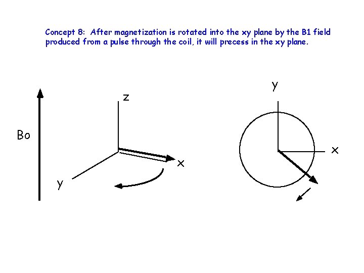 Concept 8: After magnetization is rotated into the xy plane by the B 1