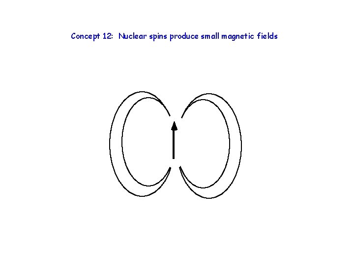 Concept 12: Nuclear spins produce small magnetic fields 