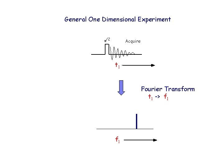 General One Dimensional Experiment p/2 Acquire t 1 Fourier Transform t 1 -> f