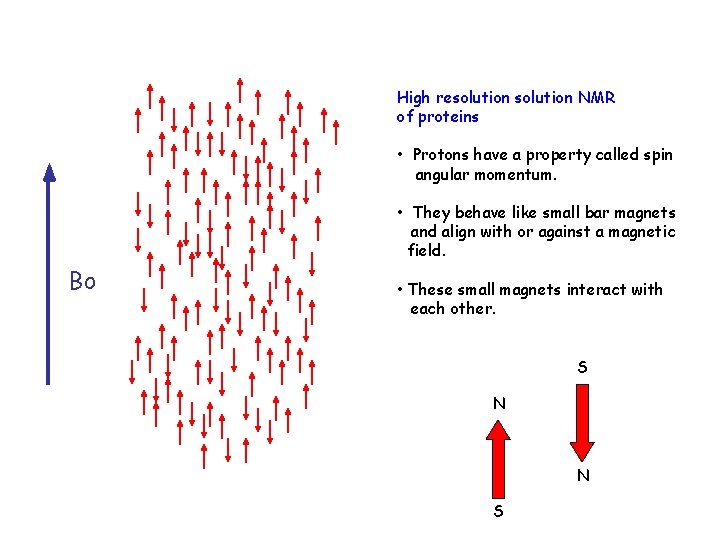 High resolution NMR of proteins • Protons have a property called spin angular momentum.