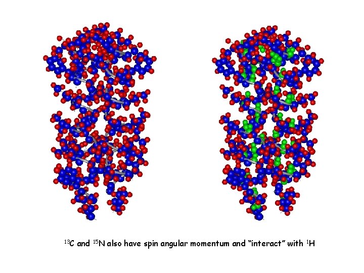 13 C and 15 N also have spin angular momentum and “interact” with 1