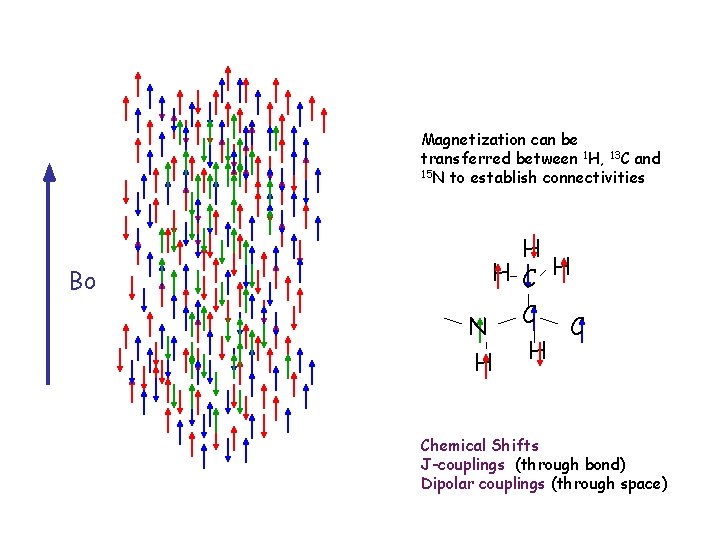 Magnetization can be transferred between 1 H, 13 C and 15 N to establish