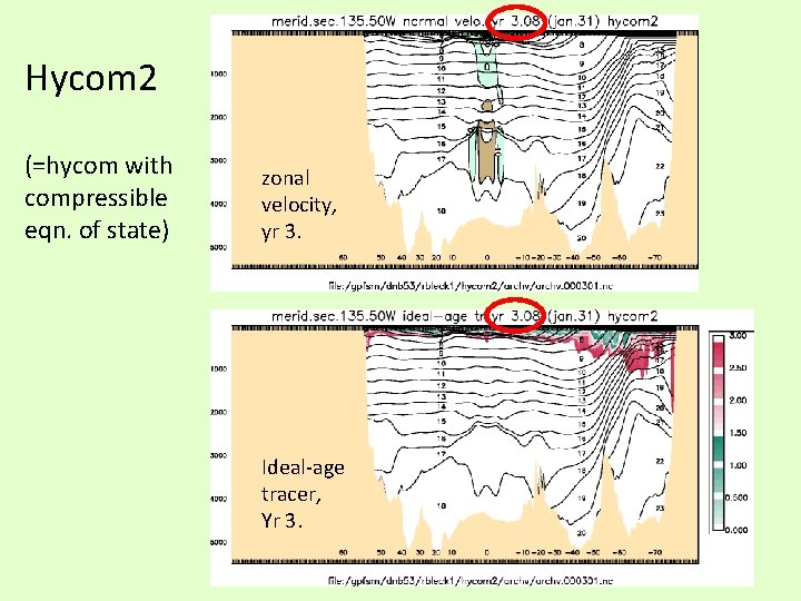 Hycom 2 (=hycom with compressible eqn. of state) zonal velocity, yr 3. Ideal-age tracer,