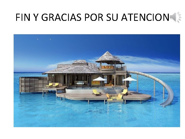 FIN Y GRACIAS POR SU ATENCION 