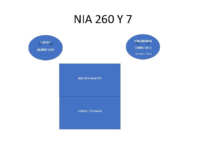NIA 260 Y 7 