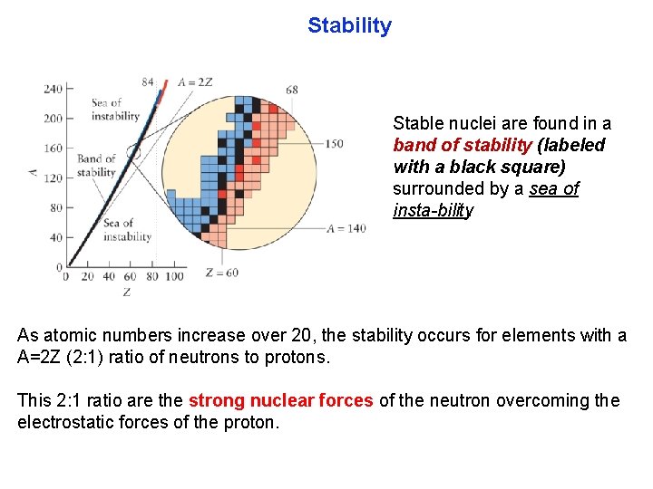 Stability Stable nuclei are found in a band of stability (labeled with a black