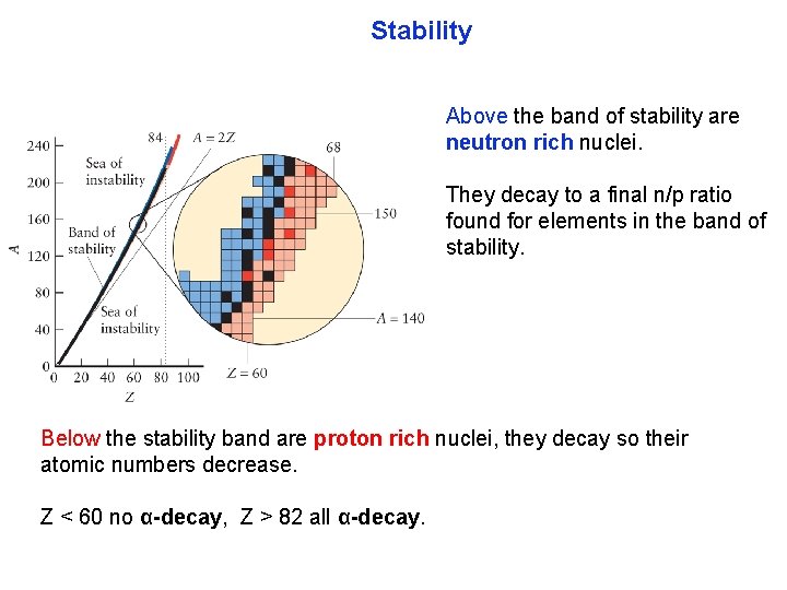 Stability Above the band of stability are neutron rich nuclei. They decay to a