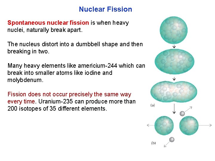 Nuclear Fission Spontaneous nuclear fission is when heavy nuclei, naturally break apart. The nucleus