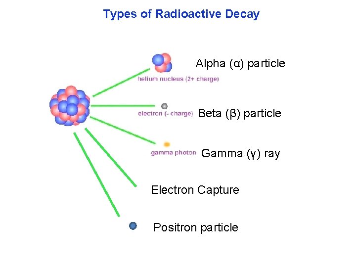 Types of Radioactive Decay Alpha (α) particle Beta (β) particle Gamma (γ) ray Electron