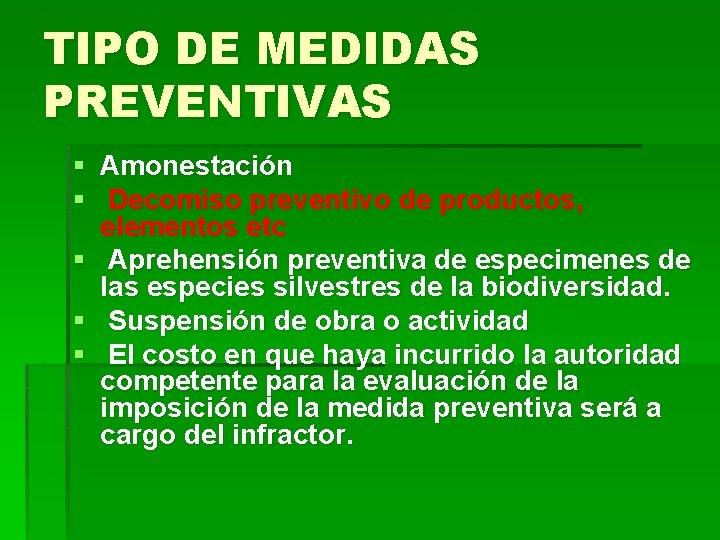 TIPO DE MEDIDAS PREVENTIVAS § Amonestación § Decomiso preventivo de productos, elementos etc §