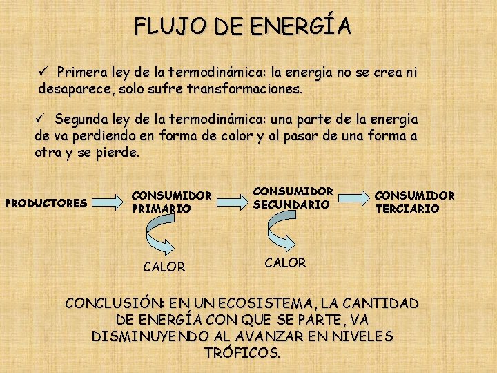 FLUJO DE ENERGÍA ü Primera ley de la termodinámica: la energía no se crea