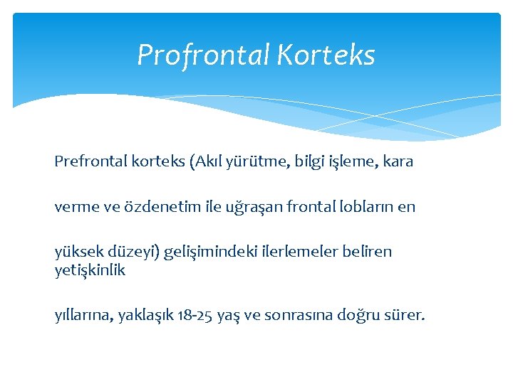 Profrontal Korteks Prefrontal korteks (Akıl yürütme, bilgi işleme, kara verme ve özdenetim ile uğraşan